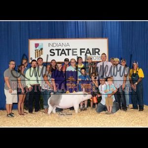 Meet your Posher, Evan